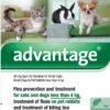 Advantage 40 Spot On For Small Cats/Dogs/Rabbit (4 Pipetts)
