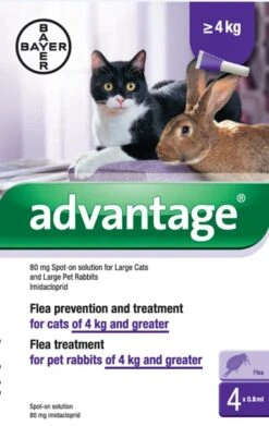Advantage 80 Spot-on For Large Cats/Rabbits