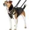 Coachi Halti Non Pull Harness Small