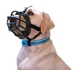 Coachi Baskerville Ultra Muzzle Size 4