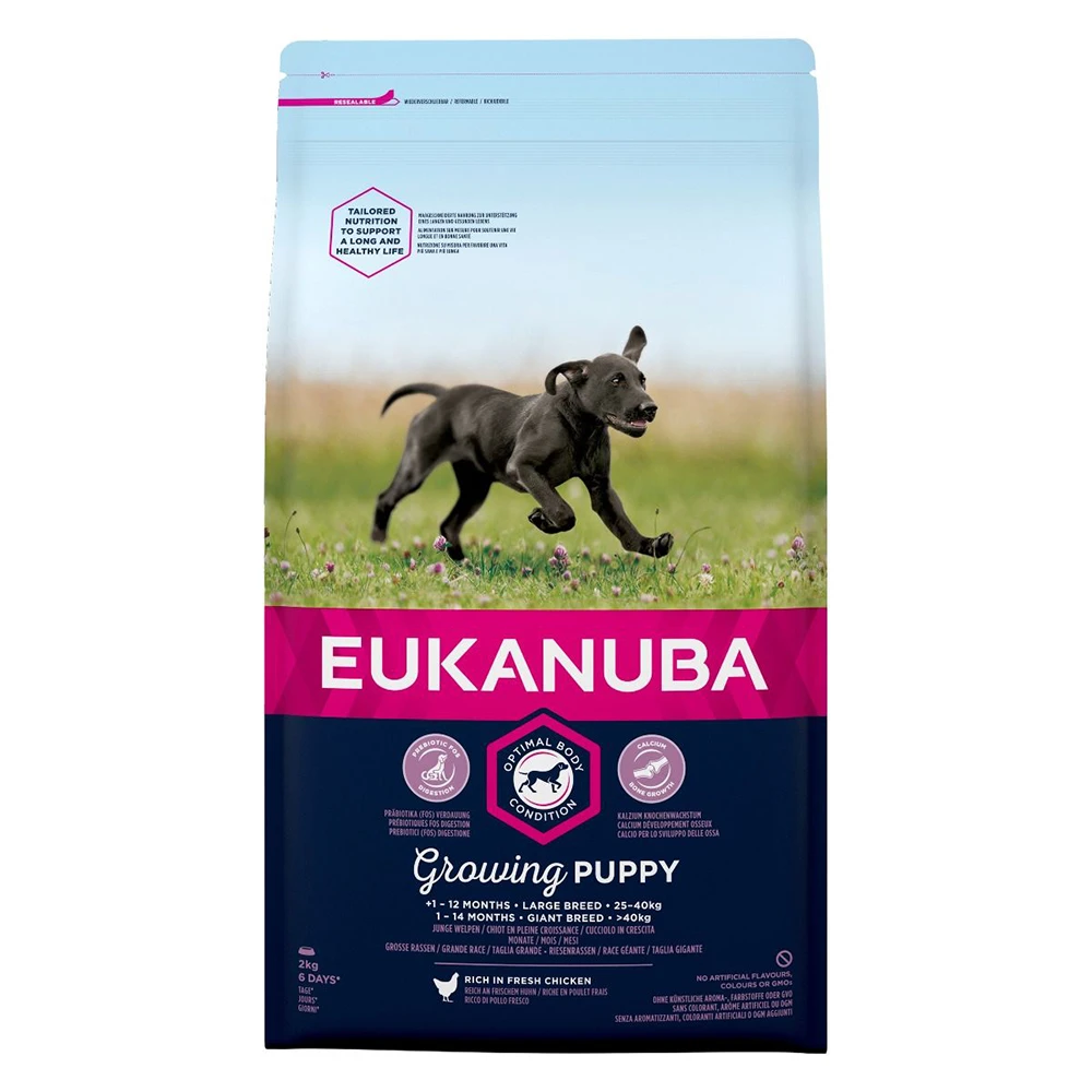Eukanuba Growing Puppy Large Breed Chicken 2kg 1 Eukanuba Growing Puppy Large Breed Chicken 2kg