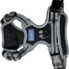 Sports Harness Black Large