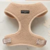Cocopup London Teddy Rupert Harness Xsmall