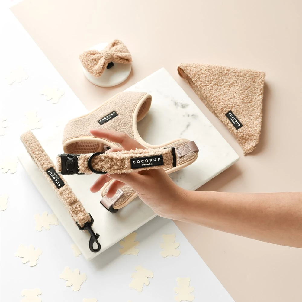 Cocopup London Teddy Rupert Collar Large 1 Cocopup London Teddy Rupert Collar Large