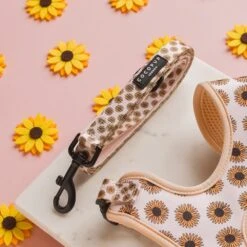 Cocopup London Sunflowers Lead