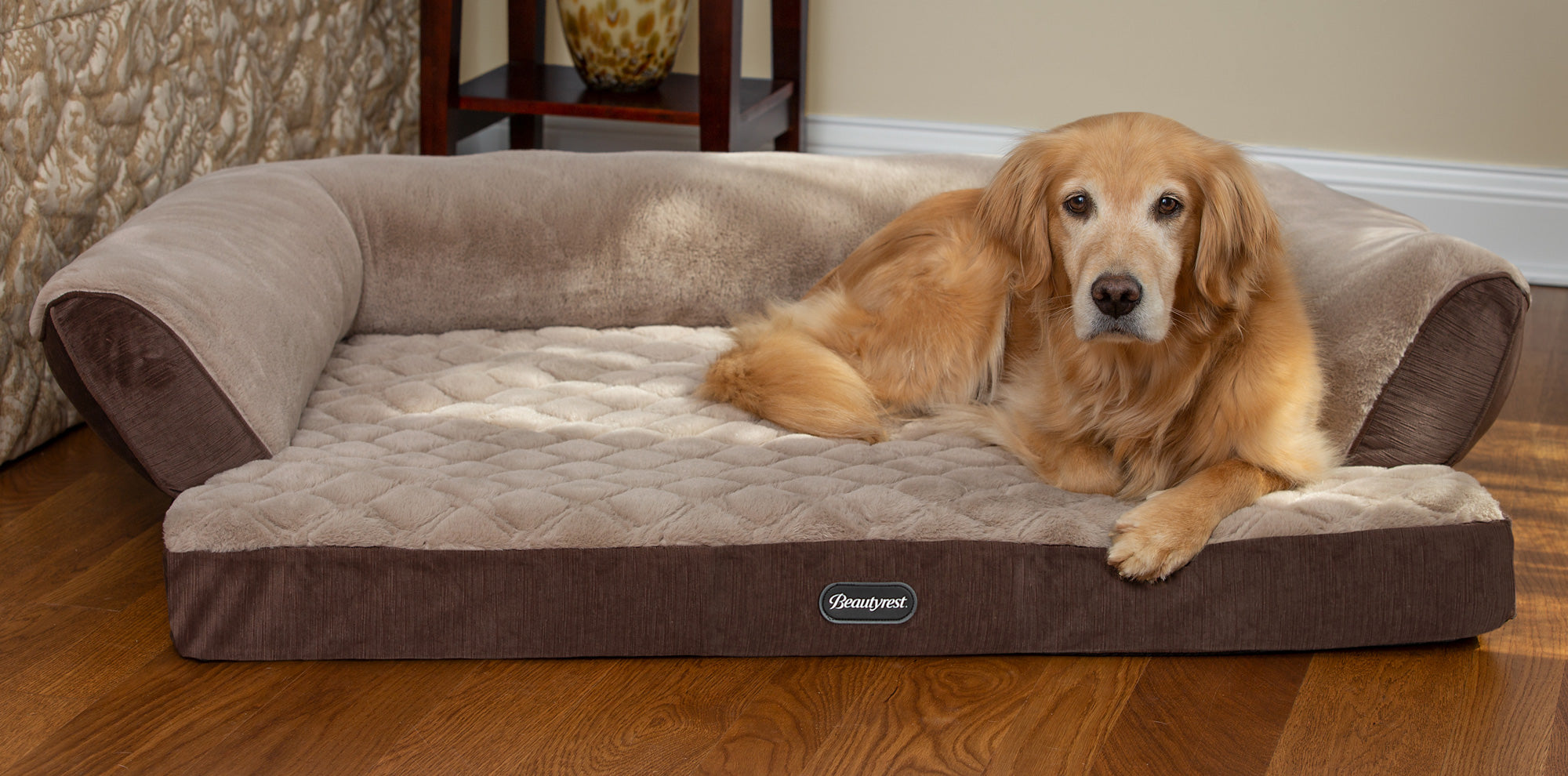 Top Pup Foods Sales Store -Top Pup Foods Sales Store beautyrest petbeds