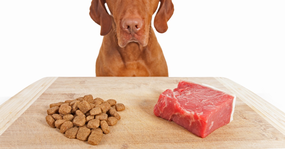 Top Pup Foods Sales Store -Top Pup Foods Sales Store gergww